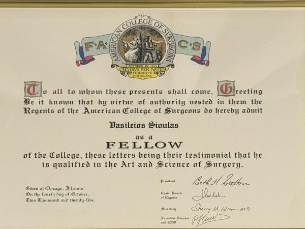 &Omicron; &Delta;&rho;.&Beta;&alpha;&sigma;ί&lambda;&epsilon;&iota;&omicron;&sigmaf; &Sigma;&iota;&omicron;ύ&lambda;&alpha;&sigmaf; &alpha;&nu;&alpha;&kappa;&eta;&rho;ύ&chi;&theta;&eta;&kappa;&epsilon; Fellow &tau;&omicron;&upsilon; American College of Surgeons (FACS)
